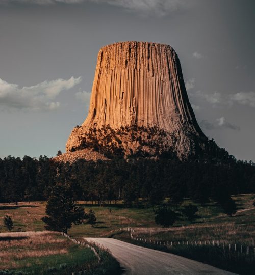 pexels-todd-trapani-2754200